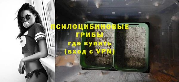 каннабис Няндома